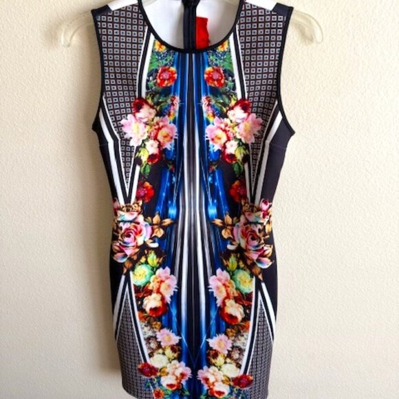 Clover Canyon Dresses & Skirts - clover canyon floral stripe sleeveless dress